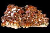 Gorgeous, Red Vanadinite Crystal Cluster - Large Crystals #127649-2